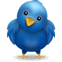 1320359018_twitter